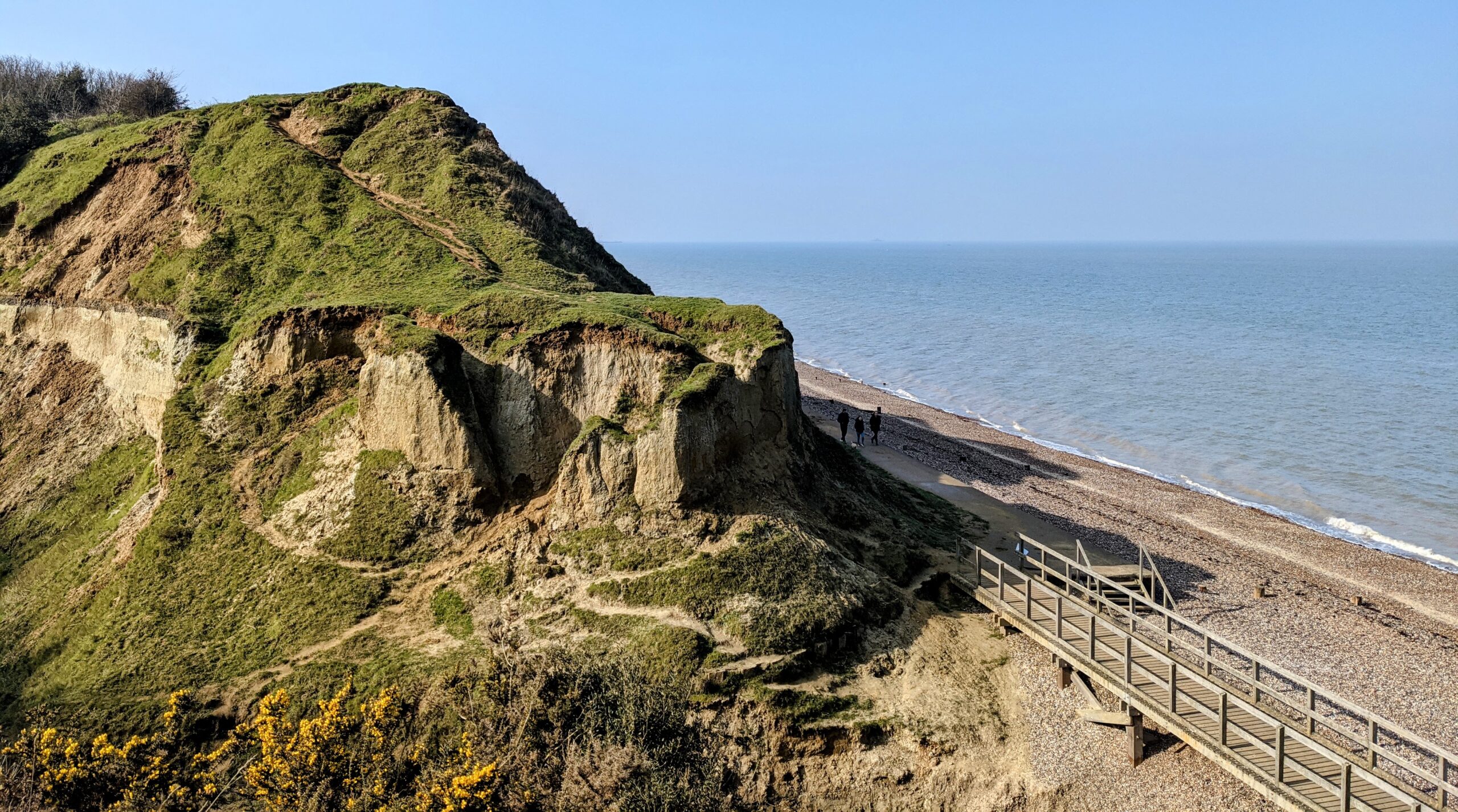 Reculver, fossils, herne bay